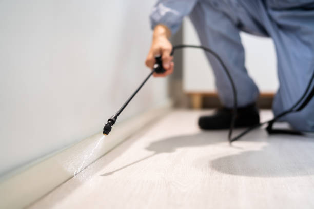 Licensed Termite Control service in Lawrence, KS - Nex Pest Control