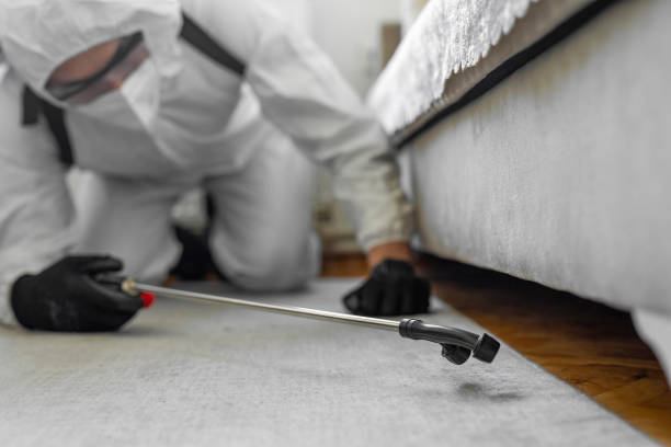 Professional Termite Control technician working in Lawrence, KS