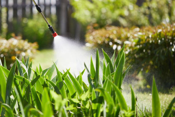24/7 Emergency Termite Control experts in Lawrence, KS