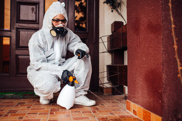 Reliable Termite Control contractor in Lawrence, KS by Nex Pest Control