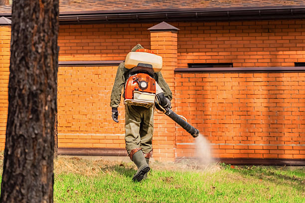 Top rated local Termite Control specialists in Lawrence, KS